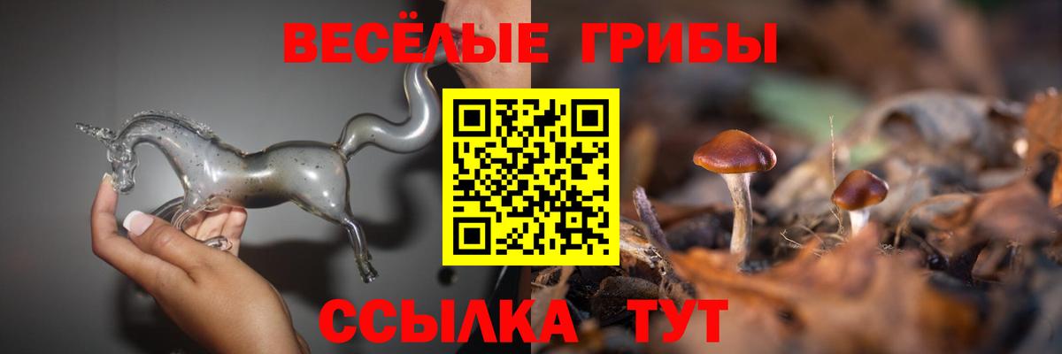 наркотики  Галлюциногенные грибы Psilocybe  Вход с VPN  Кыштым 